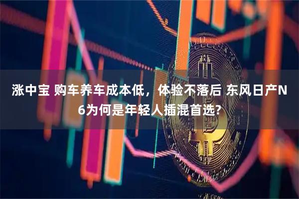 涨中宝 购车养车成本低,体验不落后 东风日产N6为何是年轻人插混首选?